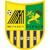 Metalist Kharkiv U21 logo