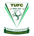 Triangle FC logo