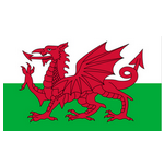 Wales (W) U19 logo