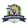 Marumo Gallants Reserves logo