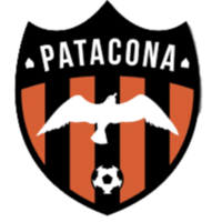 Patacona logo