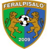 FeralpiSalo Youth logo