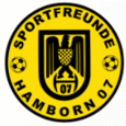 SF Hamborn 07 logo