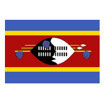 Eswatini U20 logo