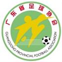 Guangdong Province Youth