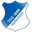TSG Hoffenheim (Youth) logo