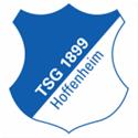 Hoffenheim U19 logo