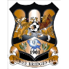 Three Bridges logo