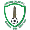 Wayside Celtic logo