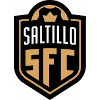 Atletico Saltillo logo