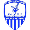 Falcons FC
